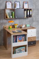 Рабочий уголок Лойс