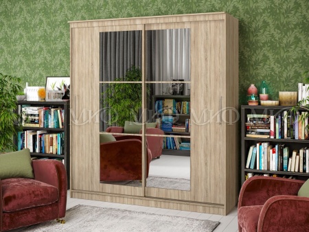 Шкаф-Купе Элвис-3 (Ш-1500/1700/2000 × В-2200 х Г-650 мм)/Разные Цвета